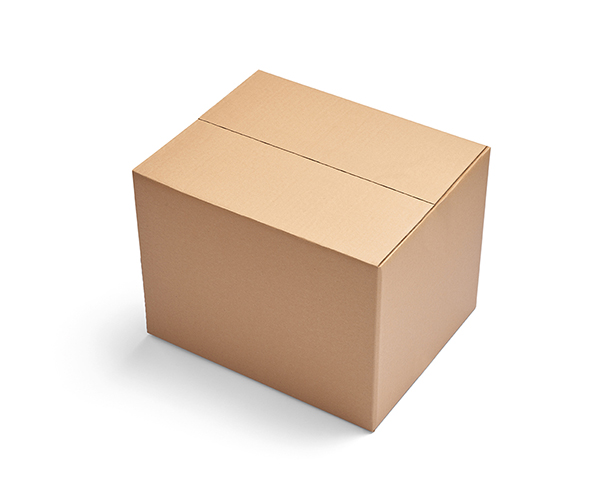 Endofline_corrugated box 2